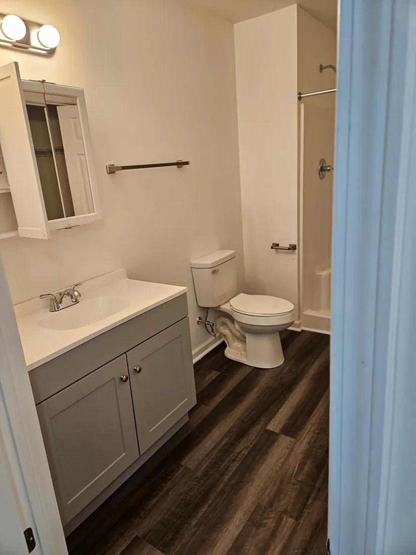 Bathroom renovation with vanity and shower